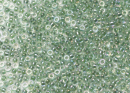 Бисер Япония MIYUKI Seed Beads 15/0 5г 0277 кристалл радужный лаймовая линия внутри